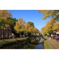 Der Goldene Herbst